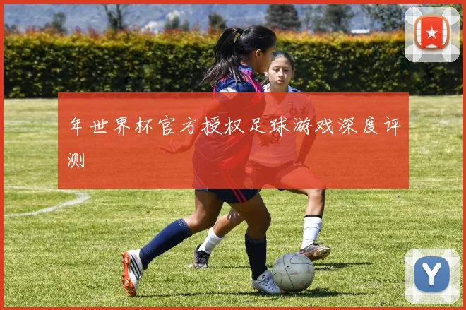 年世界杯官方授权足球游戏深度评测