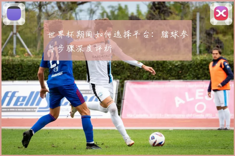 世界杯期间如何选择平台:赌球参与步骤深度评析