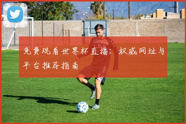 免费观看世界杯直播：权威网址与平台推荐指南